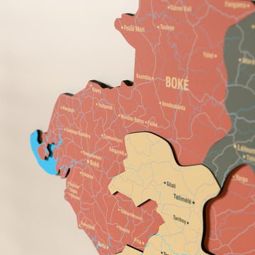 Close-up of the Sage Guinea wooden wall map with layered regions and printed names