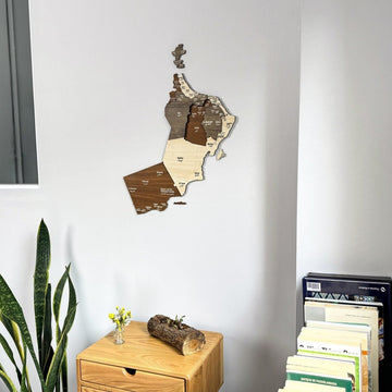 Carte d'Oman en bois sur un mur blanc vue d'un angle plus bas, avec des livres et une plante en dessous