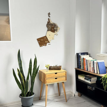 Carte d'Oman 3D en bois sur un mur blanc à côté d'une bibliothèque et d'une grande plante