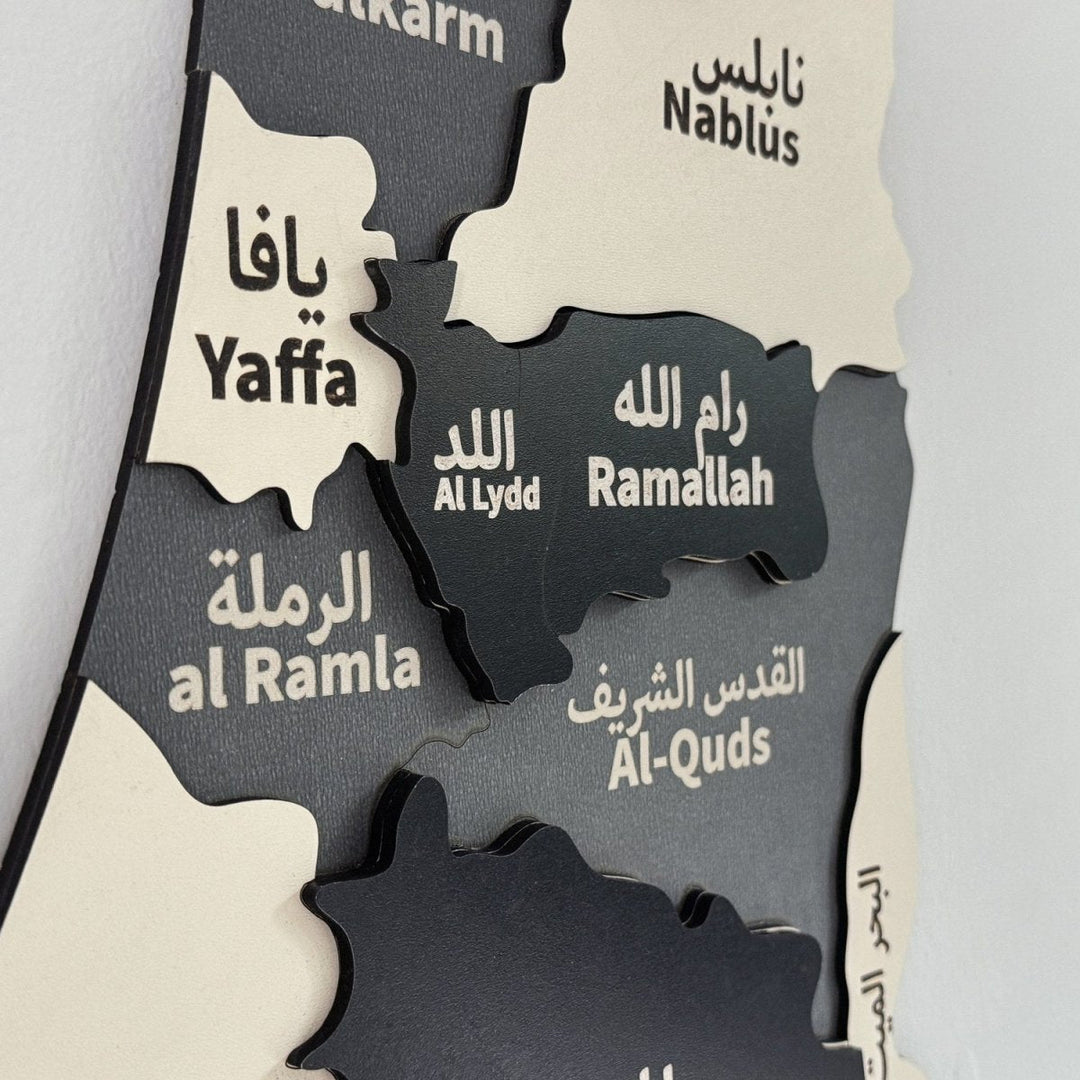 Black & Gray wooden Palestine map close up