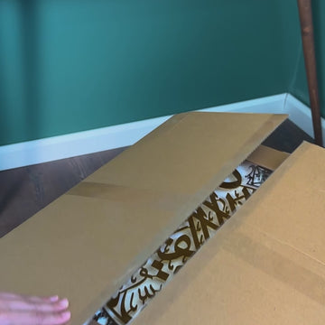 ak-2-piece-shiny-unboxing-video