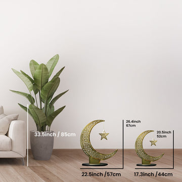 Size chart for the Shiny Gold crescent decor: 26.4 in (67 cm) and 20.5 in (52 cm) heights beside a plant
