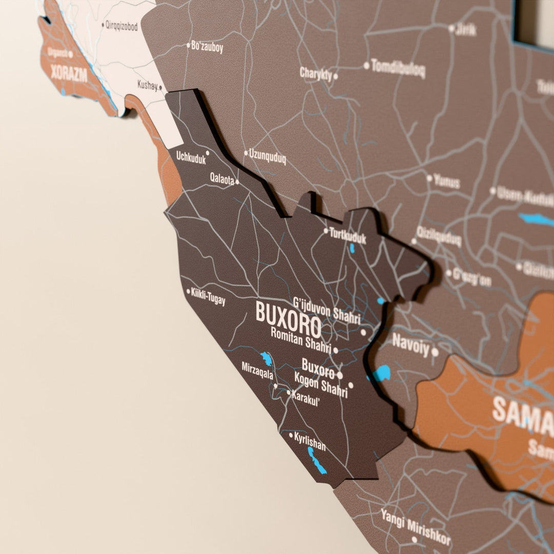 Close-up of the Soil Uzbekistan wooden wall map with layered regions and printed names