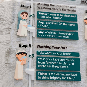 Wudu Step by Step on Aycrlic Descriptive Model - Islamic Home Decor for Kids - Islamic Wall Art Store
